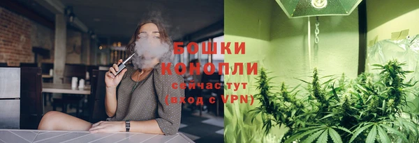 ГАЛЛЮЦИНОГЕННЫЕ ГРИБЫ Белоозёрский