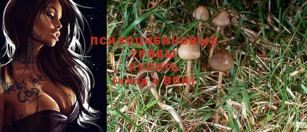 кристаллы Белокуриха