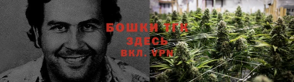 ГАЛЛЮЦИНОГЕННЫЕ ГРИБЫ Белоозёрский