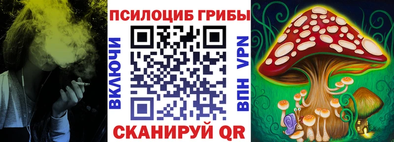 Галлюциногенные грибы Psilocybe  хочу наркоту  Мезень 